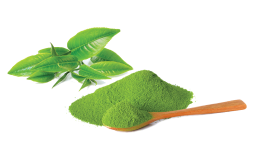 benefits-of-green-tea-b3