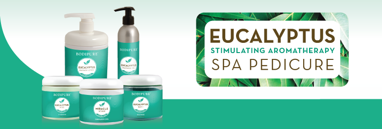 eucalyptus-cat-image-2